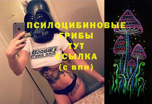 дживик Абинск