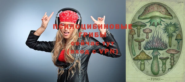 ALPHA-PVP Алексеевка